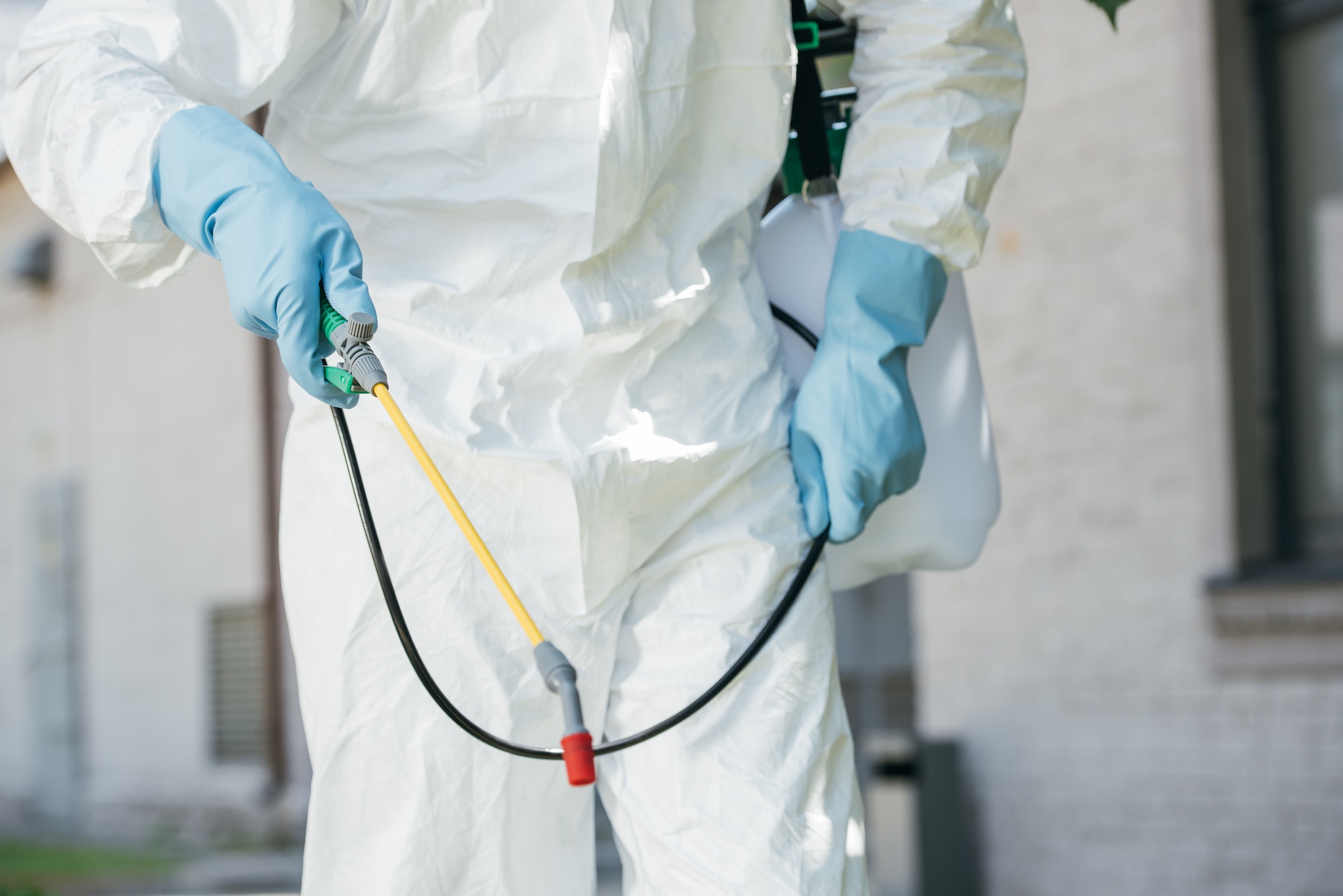 cropped image of pest control worker holding sprayer